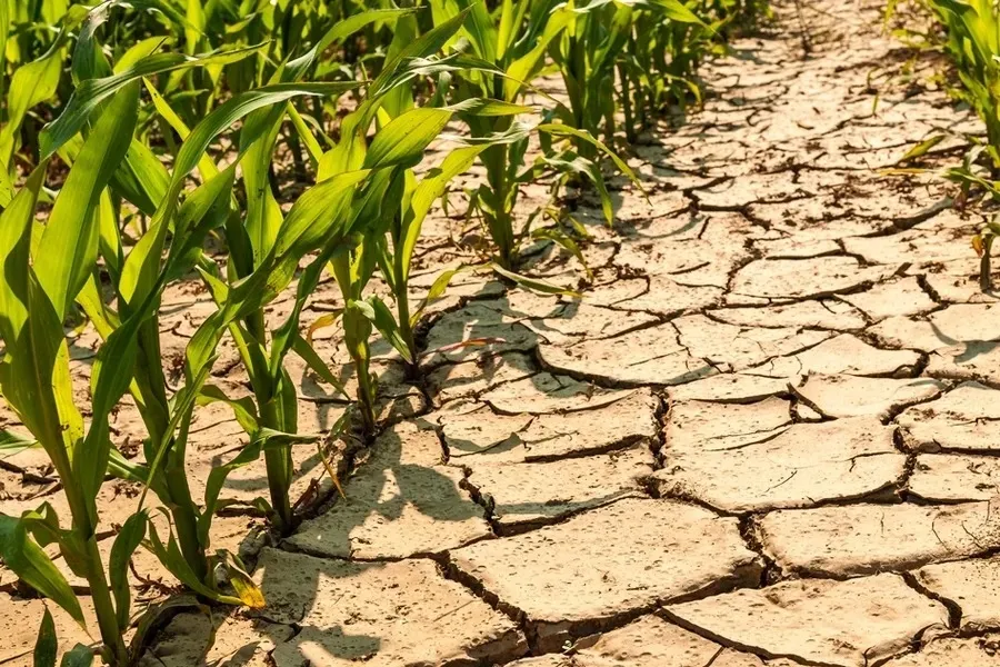 Problem: Unpredictable Weather and Water Scarcity